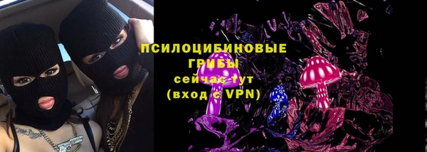 гидра Кулебаки