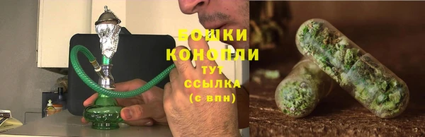 стаф Лабытнанги