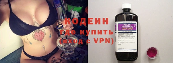 прущие грибы Ладушкин